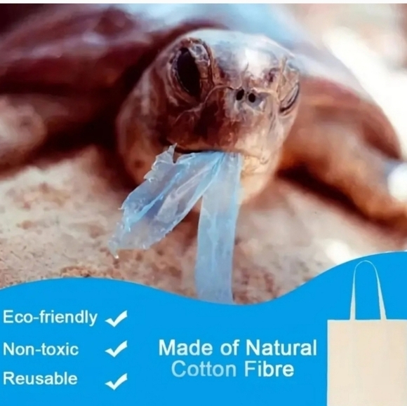 NEW!! Teacher Gift Canvas Tote bag. - Picture 2 of 3